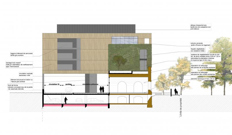 Coupe transversale Coupe transversale