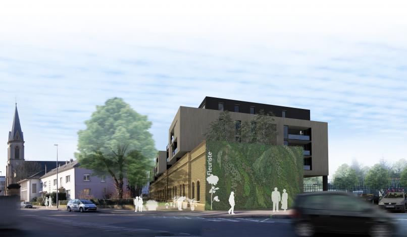 Perspective de la promenade piétonne Perspective de la promenade piétonne